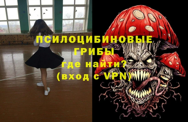 не бодяженный Новозыбков