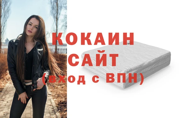 сатива Новодвинск