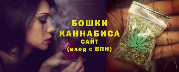 сатива Новодвинск