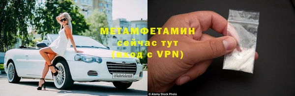 сатива Новодвинск