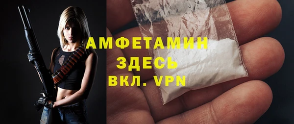 сатива Новодвинск