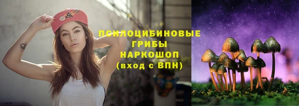 дмт Новокубанск