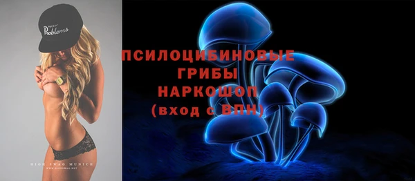сатива Новодвинск