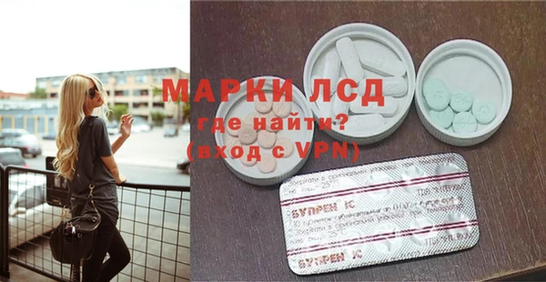сатива Новодвинск