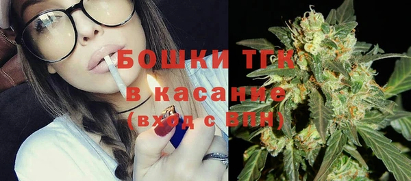 сатива Новодвинск