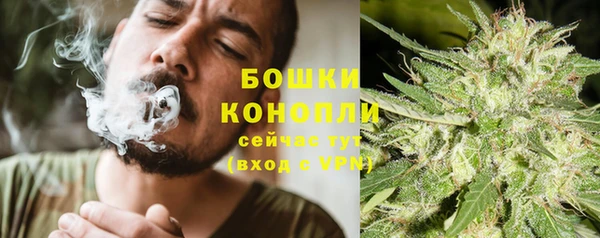не бодяженный Новозыбков