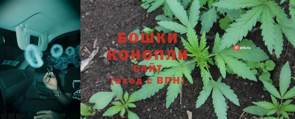 дмт Новокубанск
