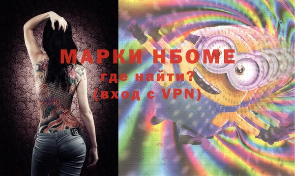 дмт Новокубанск