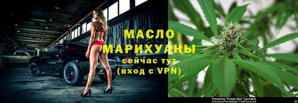 сатива Новодвинск