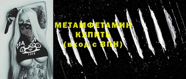 сатива Новодвинск