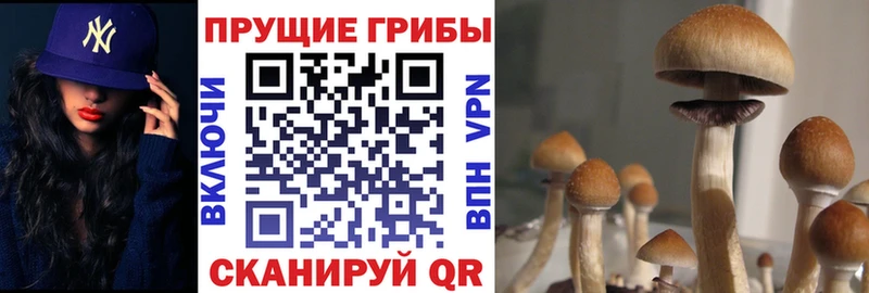 кракен онион  Остров  Галлюциногенные грибы ЛСД 